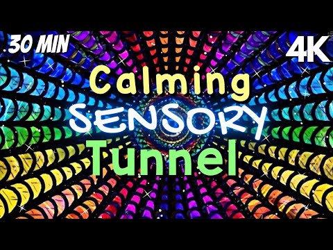 Autism Calming Music Engaging Light Tunnel