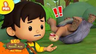 Download lagu 🐚 Hewan dengan Cangkang Kokoh! 🦐 Penyu, Kepiting & lainnya! 🦀 | Leo Si Penjaga Alam | Kartun Anak mp3