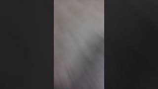 暴言キッズに会った時の対処法