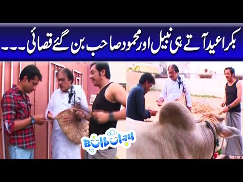 Bakra Eid Atay He Nabeel Aur Mehmood Sahab Bun Gaye Qasai - Bulbulay