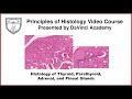 Histology of Thyroid, Parathyroid, Adrenal, and Pineal Glands [Endocrine Histology 2 of 2]