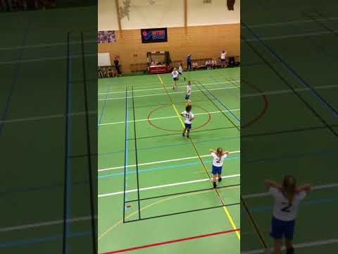 Skuru-Swithiod 11november 2017