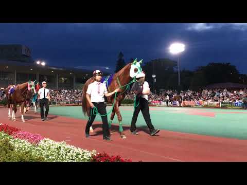 2018.6.27 第41回 帝王賞競走（Jpn I）パドック