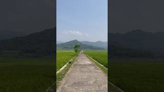 Download lagu Geblek Pari! Wisata sawah terluas dekat bandara YIA, JOGJA, Kulon Progo. mp3