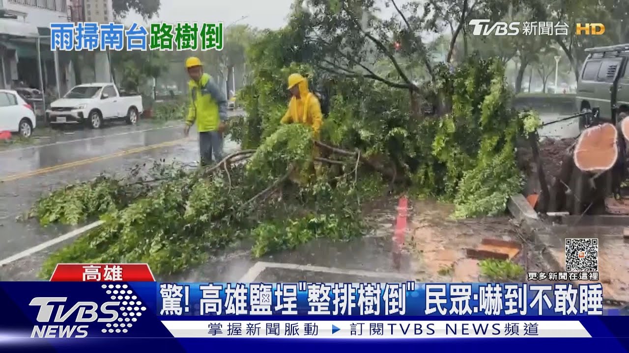 驚!高雄鹽埕「整排樹倒」 民眾:嚇到不敢睡