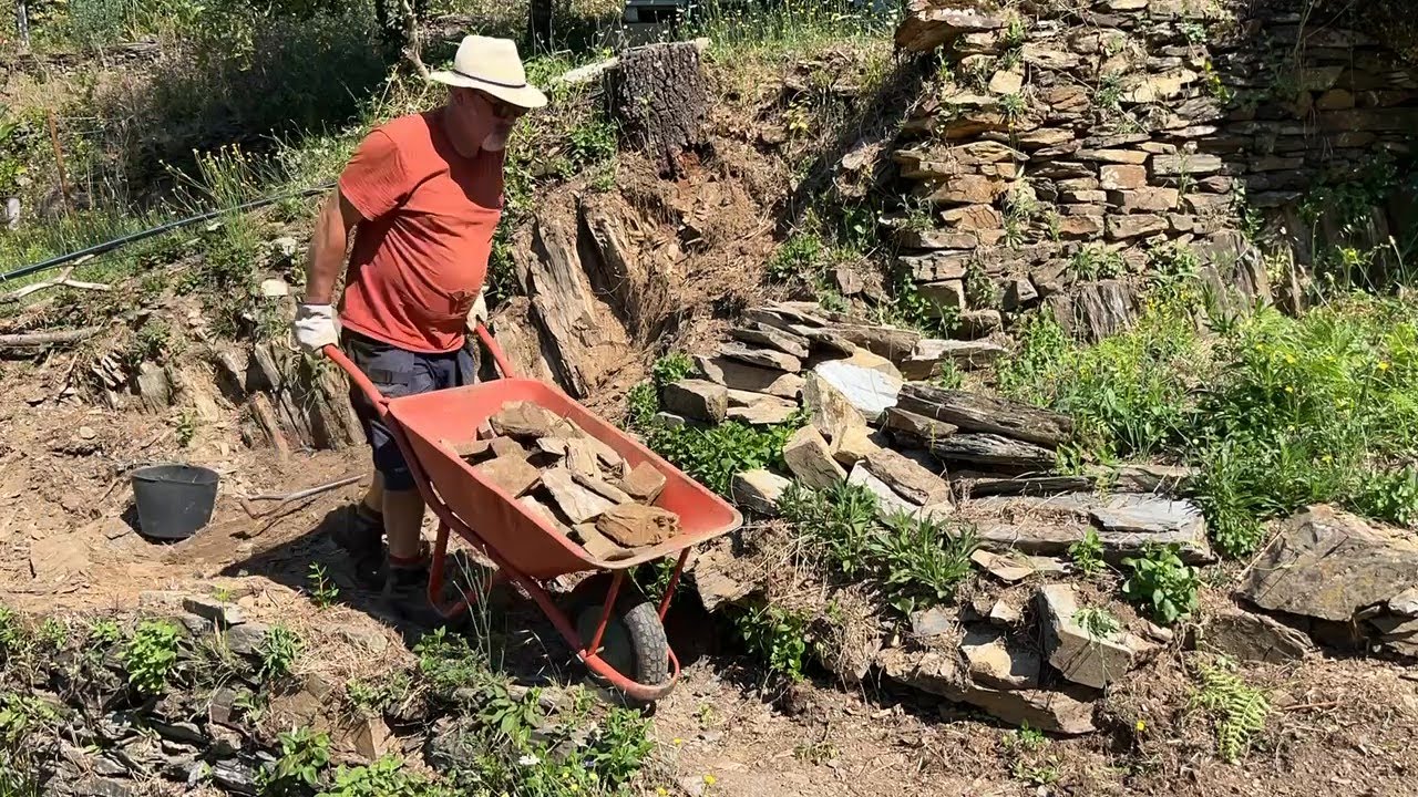 Landscaping, Planting, Fencing, Building Steps - 6 Months Progress in the Pond Garden