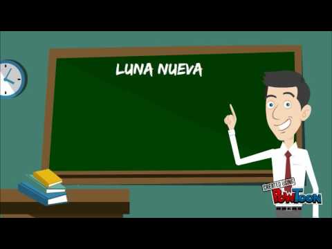 Fases de la luna M.G.M.S