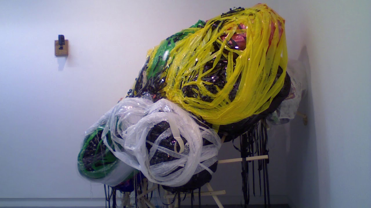 Video courtesy of the Artist, ActionSpace and Project Ability