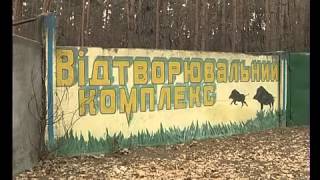 preview picture of video 'Народный маршрут 24 11 село Кочережки'
