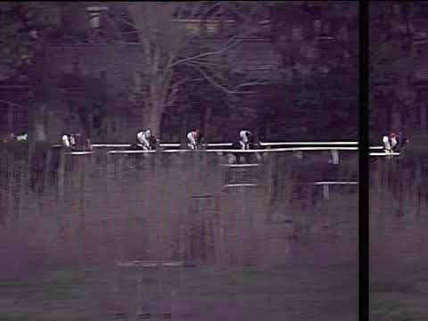 Galoppo 12/03/2019 - 6ª corsa