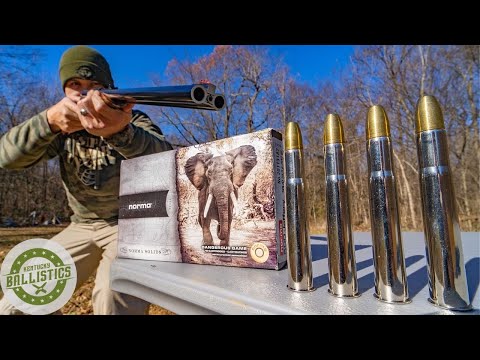 470 Nitro Express Elephant Gun 🐘