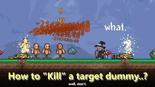 How to Kill a Target Dummy..─ Taking -2147483648 damage, Using Teleporters, and dying in Terraria