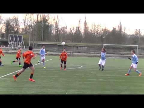 Samenvatting Hermes DVS D2  -  HBSS D1