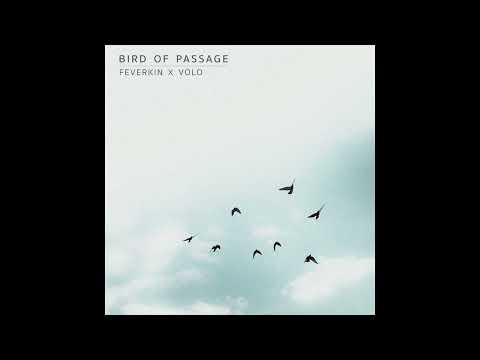 Bird of Passage (with VOLO)