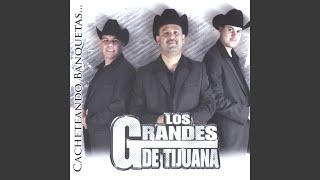 No Me Puedes Dejar Asi