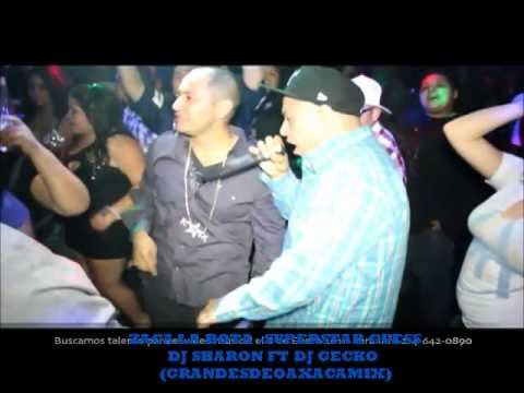 ZACA LA BOTA - SUPERSTAR GUESS & DJ SHARON FT DJ GECKO