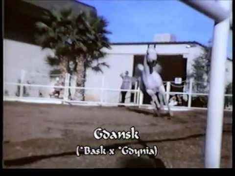 GDANSK+ (*Bask++ x *Gdynia++ by Comet)