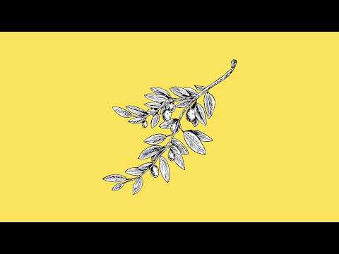 BigGucciDame - son of David (Official Audio)