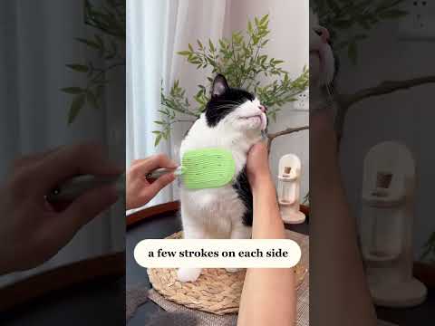 🍦 Pet Ice Cream Massage Brush – A Sweet Treat for Your Furry Friend! 🐱🐶 #cat #pets #cute