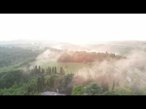 The Italian Wedding Manifesto