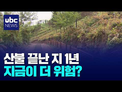 산불 1년 뒤 더 위험..호우에 산사태 비상