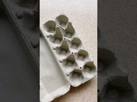 Try This Quick Halloween DIY 👻