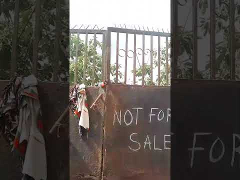 Property Type: Half Plot of Land (Fenced with Gate + Borehole)ijegun