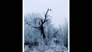 Deine Lakaien - Love me to the end