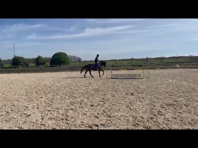 A vendre Belle AQPS 7 ANS 