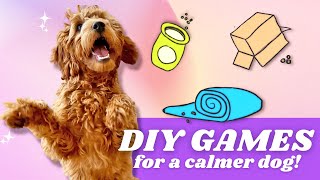 4 EASY Brain Games! 👉 Exercises your dog AT HOME