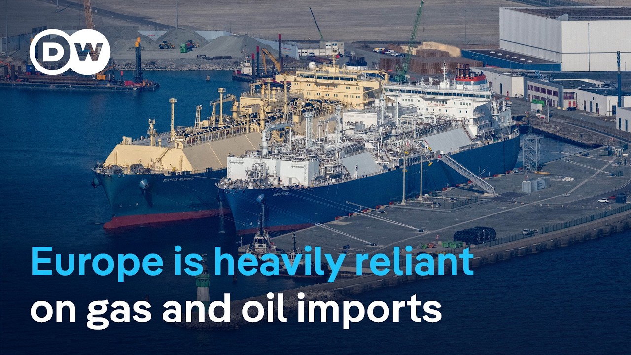 What measures could EU countries consider to reduce fuel demand? | DW News