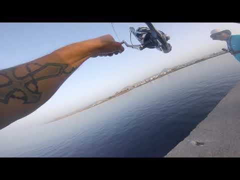 GOPRO:shore jigging albacore (live strike)