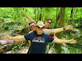 THE MAD STARLiNGS - Hey Mockingbird (Dillon Fence Cover) #90s  #coversong #chapelhillnc