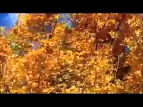 Diana Rexhepi - Ko nacrtana