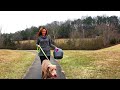 Видео о товаре Automatic Ball Launcher Автоматический метатель мячей для собак / PetSafe (США)