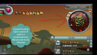 Advance Dragonball Hunt Guide For Dragonball Online Global