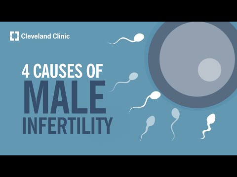 Low Sperm Count Treatment In Chennai
