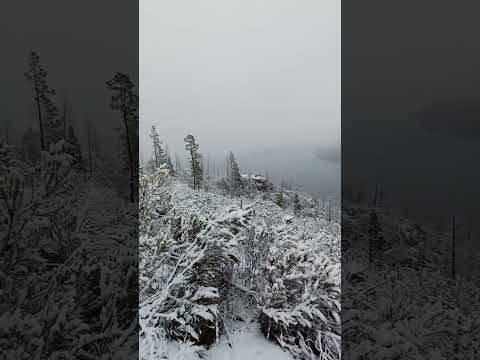 Y seguia cayendo #nieve #aventura en el CURRUMAHUIDA #short #invierno 2025 #trekking #argentina ASMR