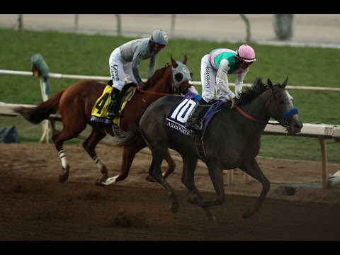 Arrogate wins the Breeders' Cup Classic from California Chrome