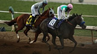 arrogate wins breaders cup classic