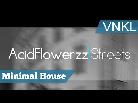 AcidFlowerzz - Street Knowledge - Vynkel House