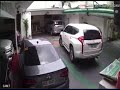Cat Got Run Over By SUV And Survived