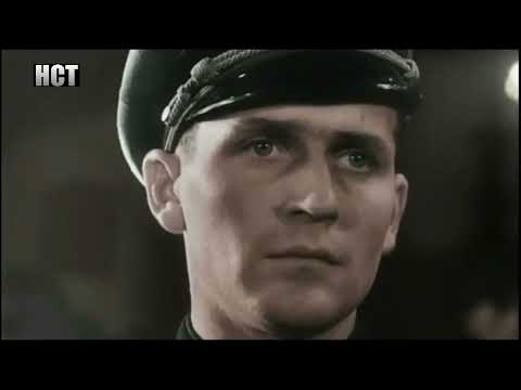 World War 2   The German Soldier Combat Footage