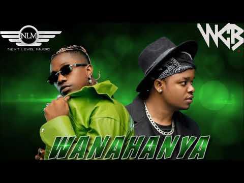 Rayvanny - Wanahanya feat Whozu (Official Music Video)