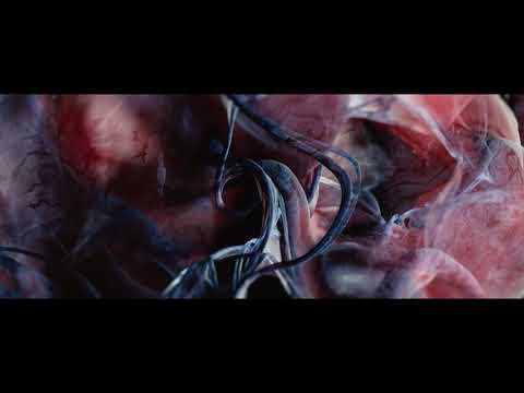 Robot Koch - Manifold (Official Video)