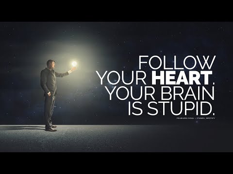 あなたの心に従ってください...あなたの脳は愚かだ (Follow Your Heart... Your Brain Is Stupid)