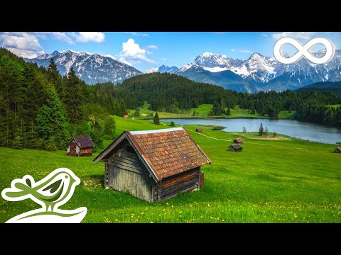 Paradise: Beautiful Relaxing Music with Piano, Cello, Duduk, Flute & Violin