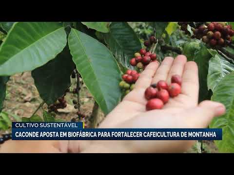 Caconde aposta em biofábrica para fortalecer cafeicultura de montanha