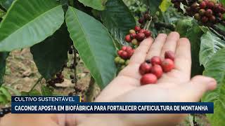 Caconde invests in a biofactory to strengthen mountain coffee farming.
