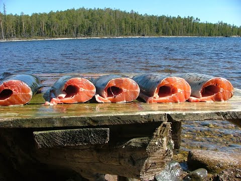 Едем в Карелию на рыбалку